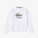 Lacoste Sweater | Herren | white |