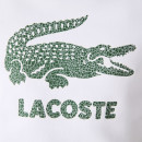 Lacoste Sweater | Herren | white | 52